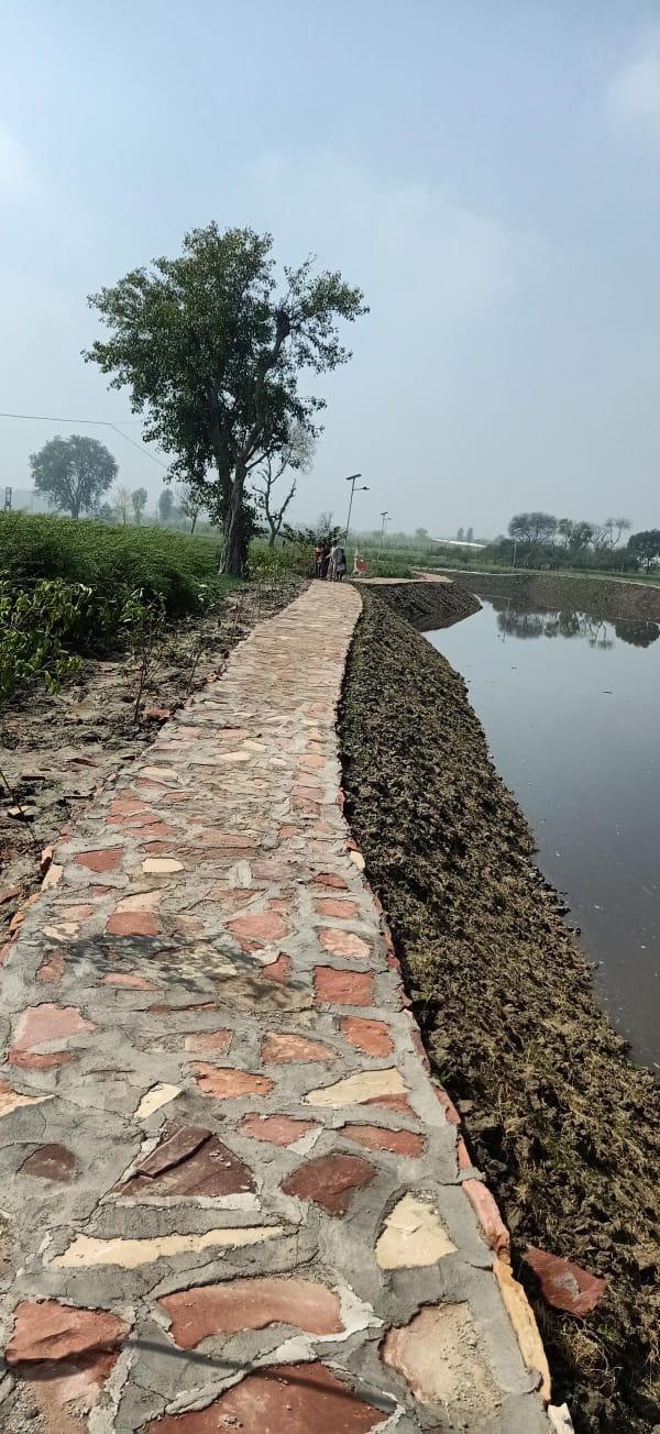 Faiz Construction Project 12